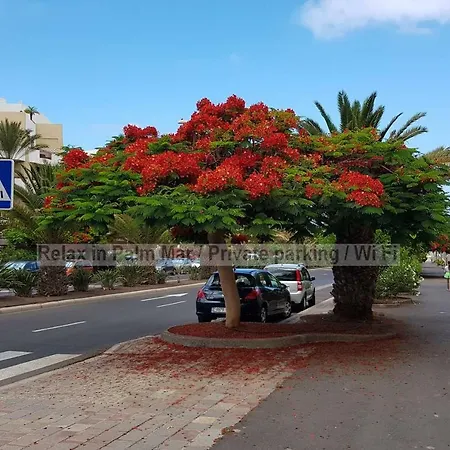 Sunny In Palm Mar, Mocan شقة