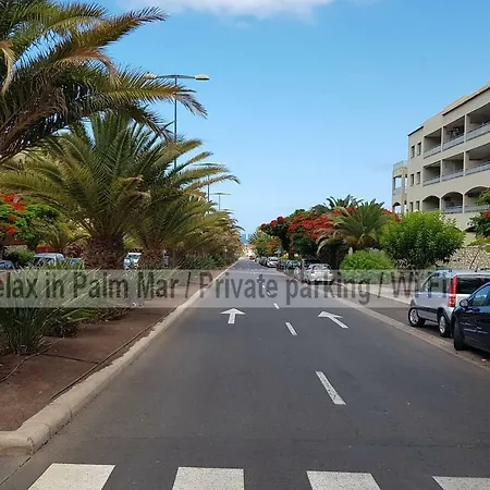 Sunny In Palm Mar, Mocan *